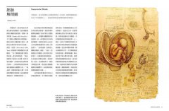 改變世界的100張草圖：從革新醫學的人體解剖圖到顛覆音樂產業的iPod原型 圖片 7