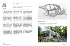 改變世界的100張草圖：從革新醫學的人體解剖圖到顛覆音樂產業的iPod原型 圖片 9