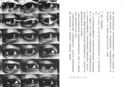 過去是新鮮的，未來是令人懷念的：奠定創作的關鍵30年對談&自述(18禁) 圖片 13