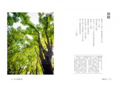 種樹的詩人：吳晟的呼喚，和你預約一片綠蔭，一座未來森林 圖片 14