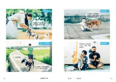 這裡讓愛不流浪：中途咖啡店「浪浪別哭」的暖心故事 圖片 4