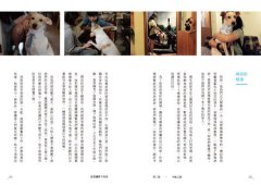 這裡讓愛不流浪：中途咖啡店「浪浪別哭」的暖心故事 圖片 5