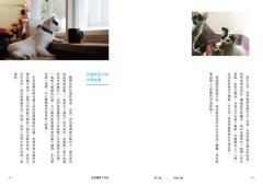這裡讓愛不流浪：中途咖啡店「浪浪別哭」的暖心故事 圖片 7