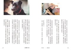 這裡讓愛不流浪：中途咖啡店「浪浪別哭」的暖心故事 圖片 8