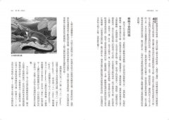 科學大歷史：人類從走出叢林到探索宇宙，從學會問「為什麼」到破解自然定律的心智大躍進 圖片 6