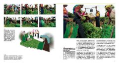 攝影師的創造力之眼：50條路徑大師帶頭練，抓住你的想像力&感覺 圖片 9