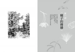 種子的信仰：梭羅獻給自然的生命詩歌【全球唯一授權繁體中文版】 圖片 5