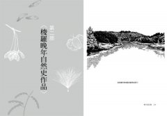 種子的信仰：梭羅獻給自然的生命詩歌【全球唯一授權繁體中文版】 圖片 15