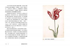 讀畫搞懂世界經濟史：22個主題，看見全球貿易是如何進化的？ 圖片 4