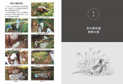 自然農【第1次栽培全圖解】：向大自然學種菜！活化地力，最低程度介入的奇蹟栽培法  圖片 5
