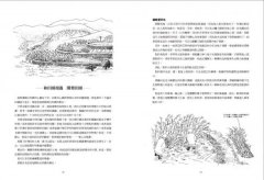 自然農【第1次栽培全圖解】：向大自然學種菜！活化地力，最低程度介入的奇蹟栽培法  圖片 6