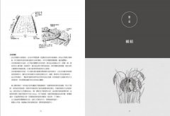 自然農【第1次栽培全圖解】：向大自然學種菜！活化地力，最低程度介入的奇蹟栽培法  圖片 8