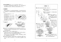 自然農【第1次栽培全圖解】：向大自然學種菜！活化地力，最低程度介入的奇蹟栽培法  圖片 11