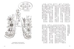 懶人農法第1次全圖解：與自然共生的樸門設計，教你種出無毒蔬果，打造迷你菜園、綠能農舍【5週年暢銷經典版】 圖片 10