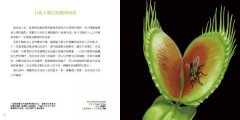 幻奇植物園 圖片 4
