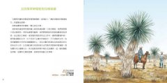 幻奇植物園 圖片 7