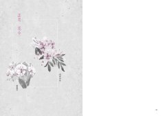 四時花令：那些奼紫嫣紅的古典詩詞 圖片 2
