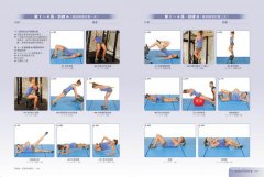 強曲線‧翹臀終極聖經：一輩子最佳健身指導書，48週訓練課程＋265個動作詳解 圖片 6