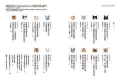 跟貓咪快樂同居 圖片 3