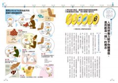 圖解人類大歷史 圖片 4