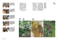 日本造園大師才懂的，好房子景觀設計85法則 圖片 10