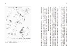 七副骸骨：人類化石的故事 圖片 7
