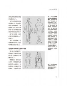 人體的彩虹：揭開中醫經絡與電磁場的奧祕 圖片 3