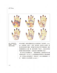 人體的彩虹：揭開中醫經絡與電磁場的奧祕 圖片 5
