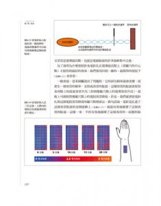 人體的彩虹：揭開中醫經絡與電磁場的奧祕 圖片 7