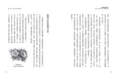 花園的祕密語言：彼得‧渥雷本的自然觀察筆記 圖片 10