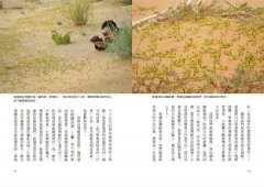 勇者鬥惡蟲：在撒哈拉賭上人生！怪咖博士尋蝗記 圖片 3