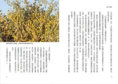勇者鬥惡蟲：在撒哈拉賭上人生！怪咖博士尋蝗記 圖片 7