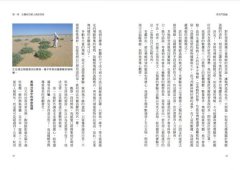 勇者鬥惡蟲：在撒哈拉賭上人生！怪咖博士尋蝗記 圖片 8