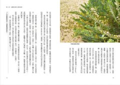 勇者鬥惡蟲：在撒哈拉賭上人生！怪咖博士尋蝗記 圖片 9