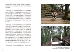 跟你一起看風景 : 一人一犬的日本公路冒險 圖片 4