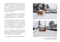 跟你一起看風景 : 一人一犬的日本公路冒險 圖片 5