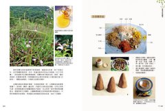調香手記：55種天然香料萃取實錄 圖片 4