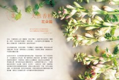調香手記：55種天然香料萃取實錄 圖片 5