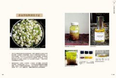 調香手記：55種天然香料萃取實錄 圖片 7