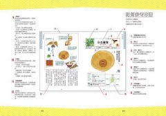 種子圖鑑：天上飛、河裡游、偽裝欺敵搞心機......讓你意想不到的種子變身小劇場 圖片 2