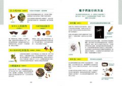 種子圖鑑：天上飛、河裡游、偽裝欺敵搞心機......讓你意想不到的種子變身小劇場 圖片 3