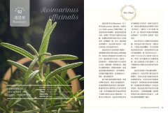 女巫阿娥的居家香草保健萬用書：20種隨手可得的香草植物，從洗頭到治鐵腿、從美顏到消炎，用過就會愛上的保健良方 圖片 11