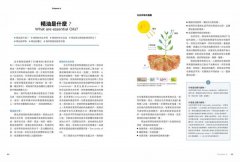 女巫阿娥的居家香草保健萬用書：20種隨手可得的香草植物，從洗頭到治鐵腿、從美顏到消炎，用過就會愛上的保健良方 圖片 4