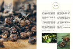 女巫阿娥的居家香草保健萬用書：20種隨手可得的香草植物，從洗頭到治鐵腿、從美顏到消炎，用過就會愛上的保健良方 圖片 9