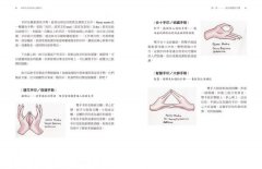 新時代女孩的身心靈指引 圖片 7