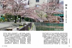 東京小路亂撞：走進東京的骨子裡，撞出東京散步人的日常風景！ 圖片 6