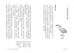 鳥類學家的世界冒險劇場:從鳥糞到外太空，從暗光鳥到恐龍，沒看過這樣的鳥類學！ 圖片 7