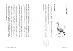 鳥類學家的世界冒險劇場:從鳥糞到外太空，從暗光鳥到恐龍，沒看過這樣的鳥類學！ 圖片 8