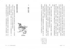 鳥類學家的世界冒險劇場:從鳥糞到外太空，從暗光鳥到恐龍，沒看過這樣的鳥類學！ 圖片 9