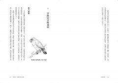 鳥類學家的世界冒險劇場:從鳥糞到外太空，從暗光鳥到恐龍，沒看過這樣的鳥類學！ 圖片 11